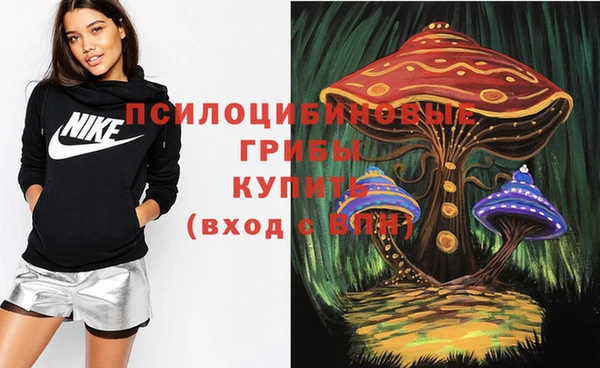 прущие грибы Приозерск