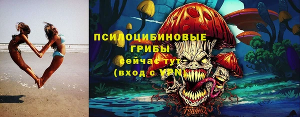 прущие грибы Приозерск