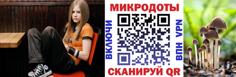 Галлюциногенные грибы прущие грибы  Шахунья 